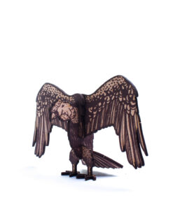 <strong>Condor de los Andes</strong> (Vultur gryphus)