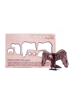 Alternative view of <strong>Condor de los Andes</strong> (Vultur gryphus)