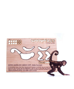 Alternative view of <strong>Mono araña de cabeza café</strong> (Ateles fusciceps)