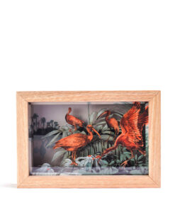 <strong>Coro Coro Rojo</strong>