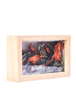 Alternative view of <strong>Coro Coro Rojo</strong>