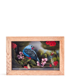 <strong>Cotinga Real</strong>