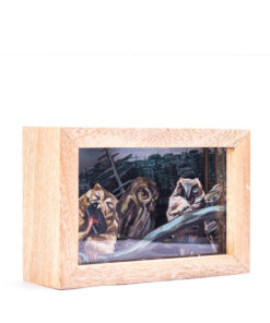 Alternative view of <strong>Currucutú</strong>