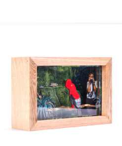 Alternative view of <strong>Gallito de Roca</strong>