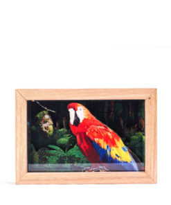 <strong>Guacamaya</strong>