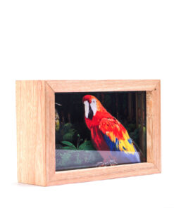 Alternative view of <strong>Guacamaya</strong>