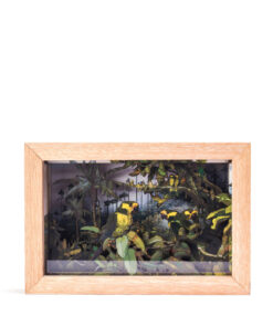 <strong>Loro Orejiamarillo</strong>