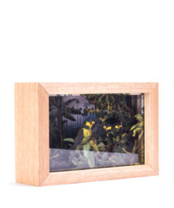 Alternative view of <strong>Loro Orejiamarillo</strong>