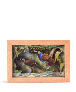 <strong>Tucán Terlaque de Nariño</strong>