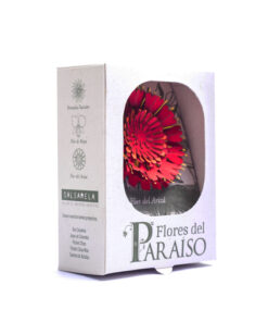 Alternative view of <strong>Flor del arizá</strong> - <em>(Brownea ariza Benth)</em>