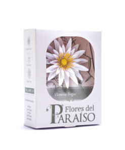 Alternative view of <strong>Victoria Regia</strong> - <em>(Victoria amazónica)</em>