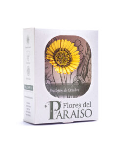 Alternative view of <strong>Frailejón</strong> - <em>(Espeletia schultzii)</em>