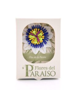 <strong>Flor de la pasión</strong> - <em>(Passiflora caerúlea)</em>
