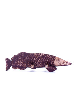 <strong>Pirarucú</strong> (Arapaima gigas)