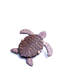 <strong>Tortuga Carey</strong> (Eretmochelys imbricata)