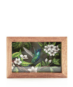 <strong>Colibrí chillón común</strong>